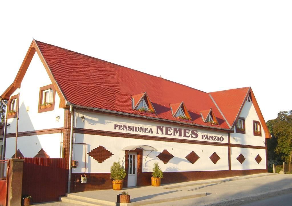 Pensiunea Nemes Panzio Acatari Exterior foto